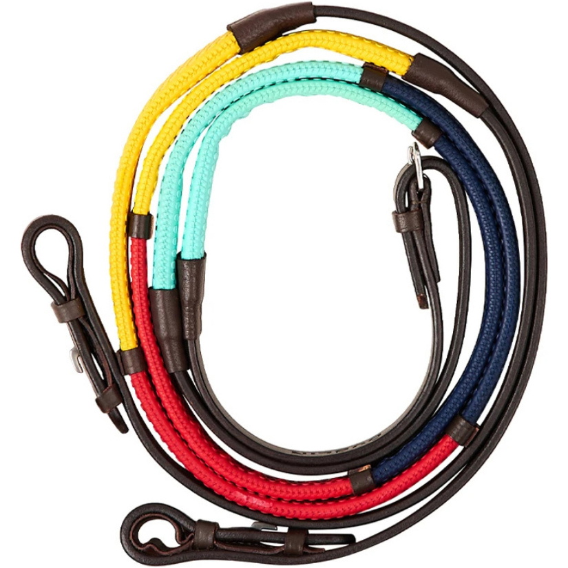 2026 Dublin Rainbow Reins 1031512 - Brown / Multi